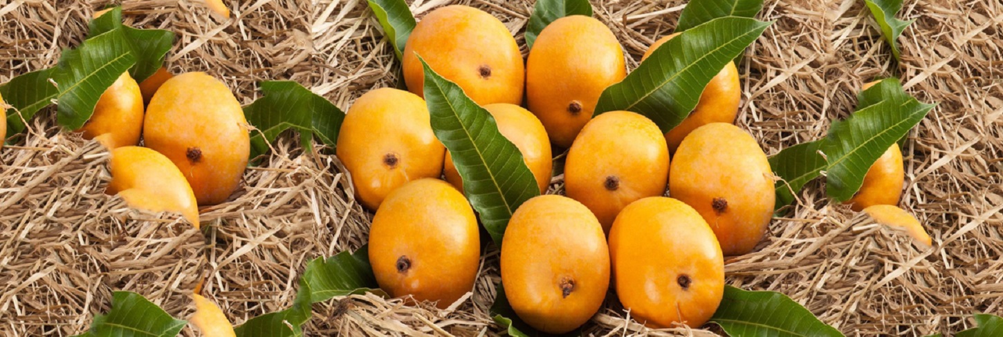 Alphonso